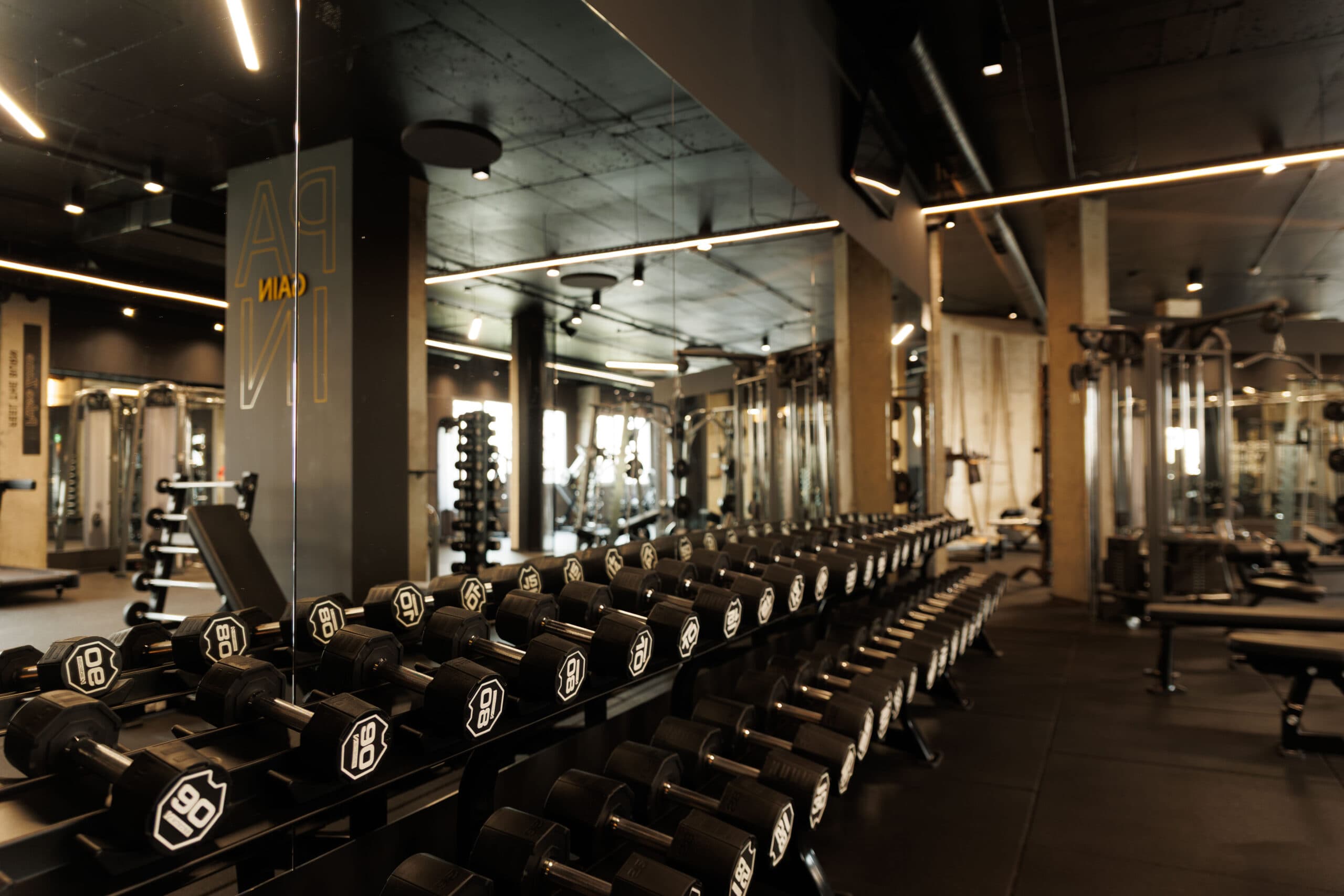 Rows of dumbbells in the Vitality Gym strength area