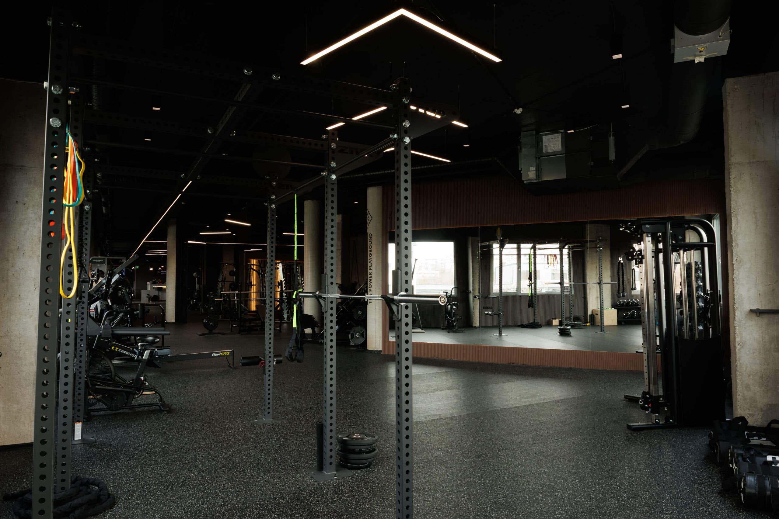 Functional training rig beside a mirrored wall